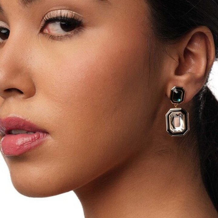 Vivid V Earrings